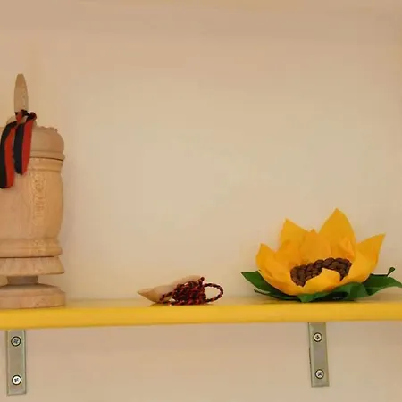 Alloggio Ai Piedi Della Montagna Sci Trekking Arte Cir 0050 Appartamento